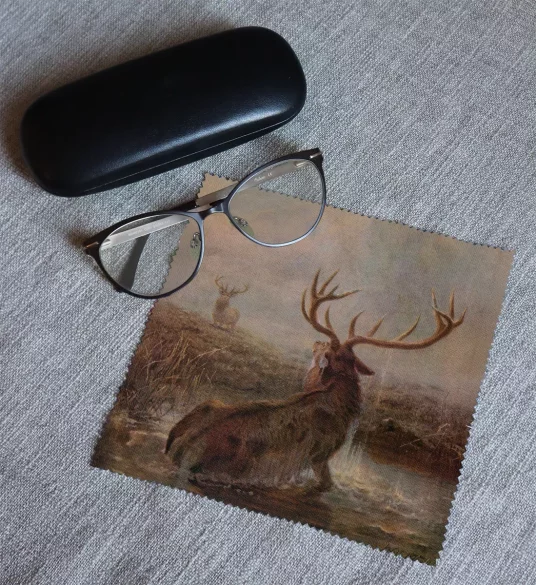 Ściereczka do okularów Interrupted Joseph Wolf