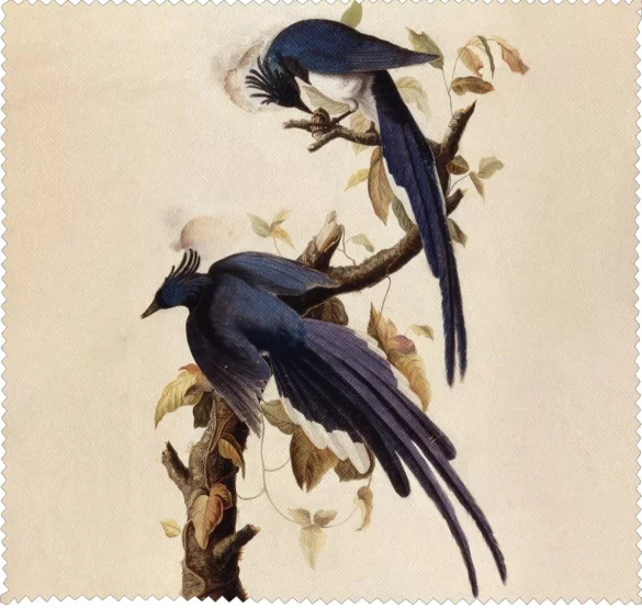 Ściereczka do okularów Magpie Jay James Audubon