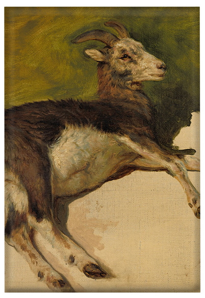 Magnes Kozica Rosa Bonheur