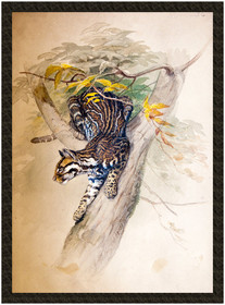 Naszywka Ocelot Joseph Wolf