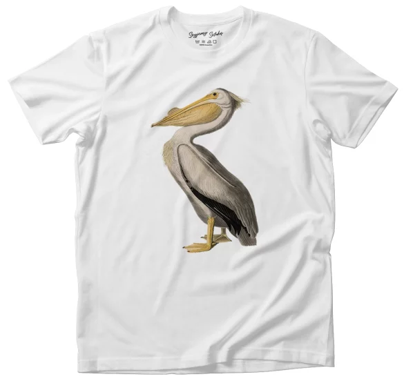 Koszulka American White Pelican James Audubon