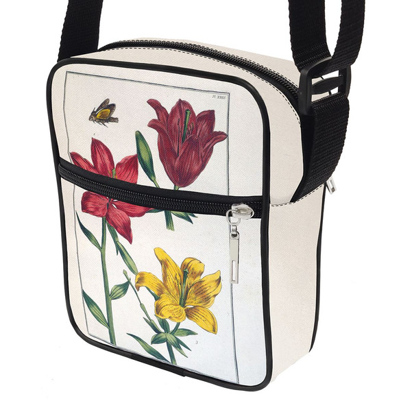 Listonoszka Lilia czerwona Maria Sibylla Merian