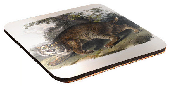 Podkładka pod kubek Common American Wildcat James Audubon