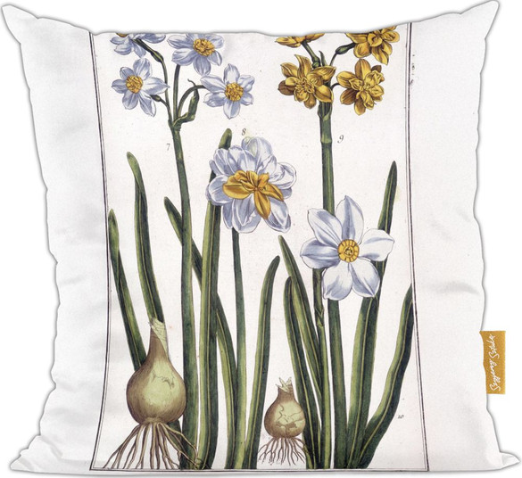 Poduszka Narcyz Maria Sibylla Merian
