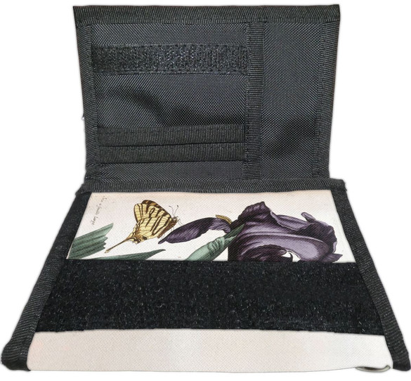 Portfel Irys szerokolistny Maria Sibylla Merian