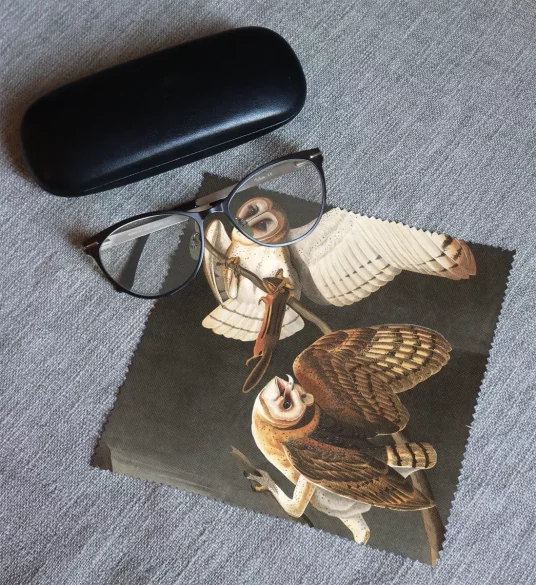 Ściereczka do okularów Barn Owl, Tyto Alba James Audubon