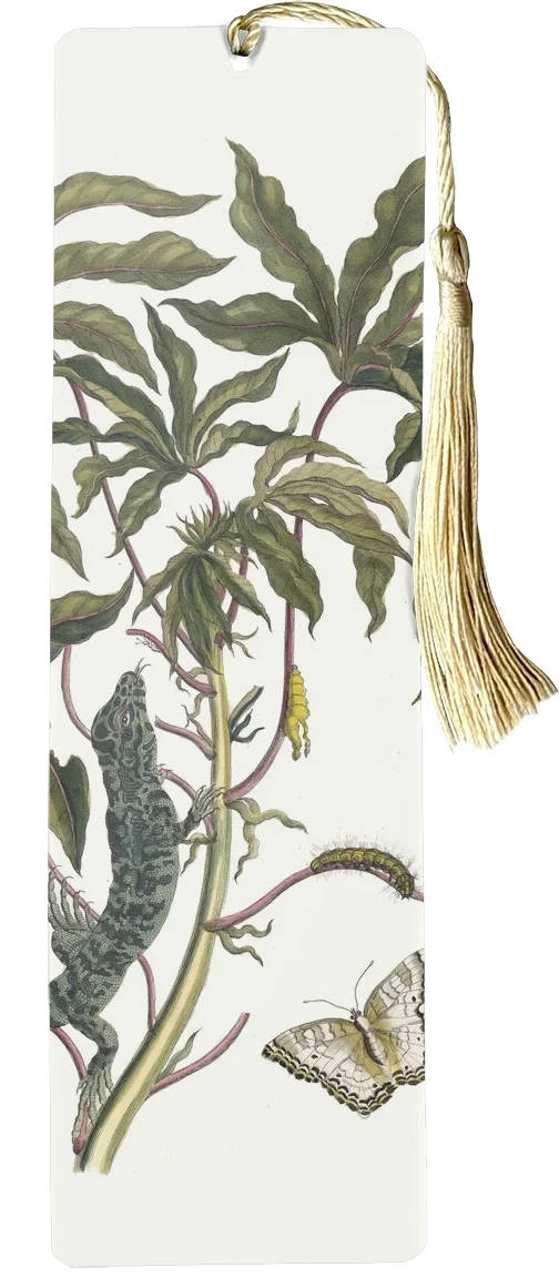 Zakładka do książki Cassave Maria Sibylla Merian