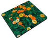 Marigolds
