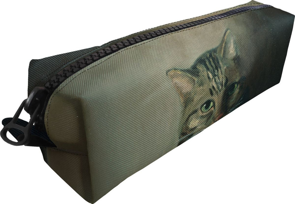 Piórnik Studium głowy kota tabby Louis Wain