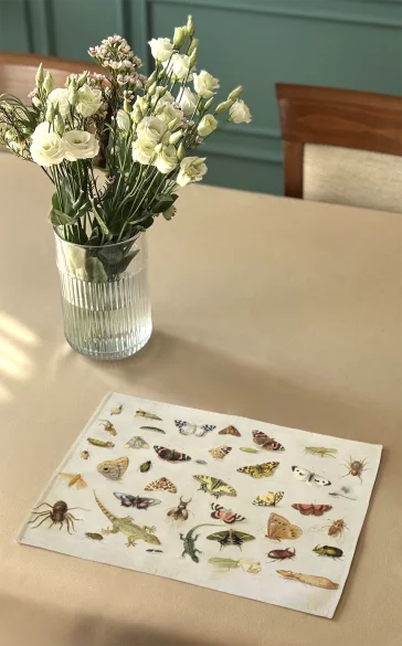 Podkładka na stół Studium owadów Jan van Kessel (starszy) 