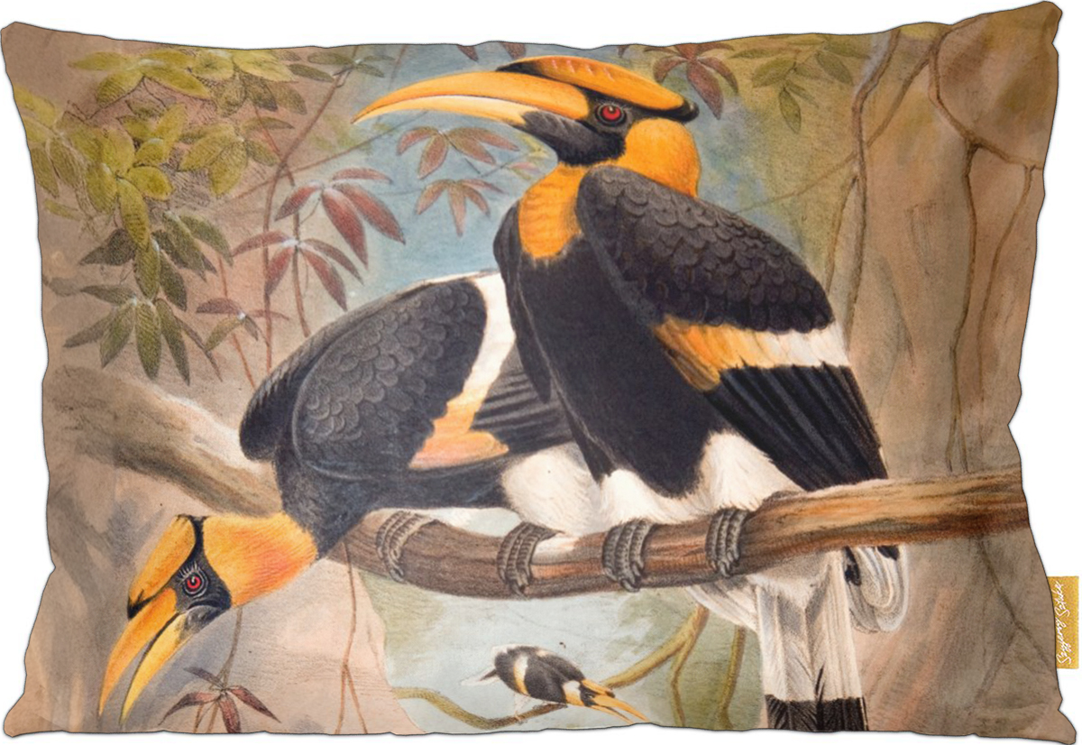 Poduszka dekoracyjna na prezent z obrazem Concave casque Hornbill Joseph Wolf Szyjemy Sztukę