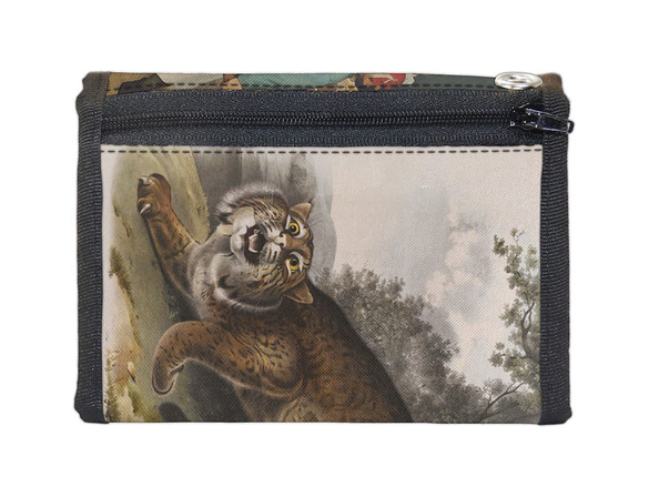 Portfel Common American Wildcat James Audubon