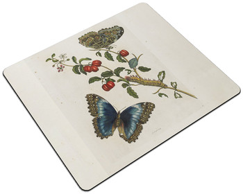 Podkładka Great Blue Butterflies and Red Fruits Maria Sibylla Merian 24x19cm