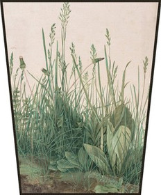 Ekran Studium traw Albrecht Dürer