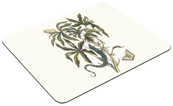 Podkładka Cassave Maria Sibylla Merian 60x40cm