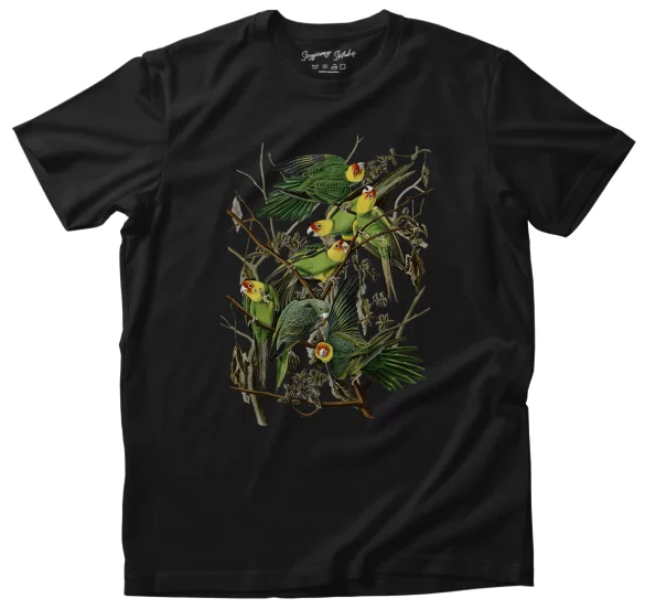 Koszulka Carolina Parakeet James Audubon