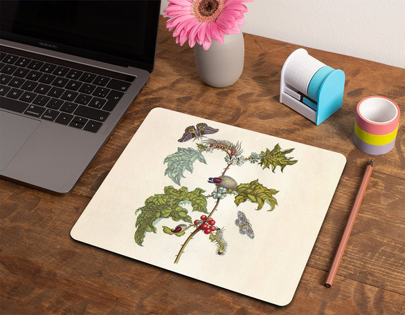 Podkładka Metamorfoza owadów Surinamensium Maria Sibylla Merian 36x29cm