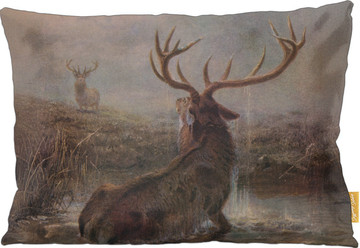 Poduszka Interrupted Joseph Wolf