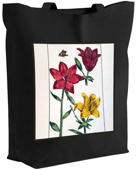 Torba z naszywką Lilia czerwona Maria Sibylla Merian