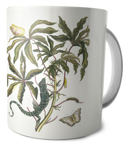 Kubek Cassave Maria Sibylla Merian