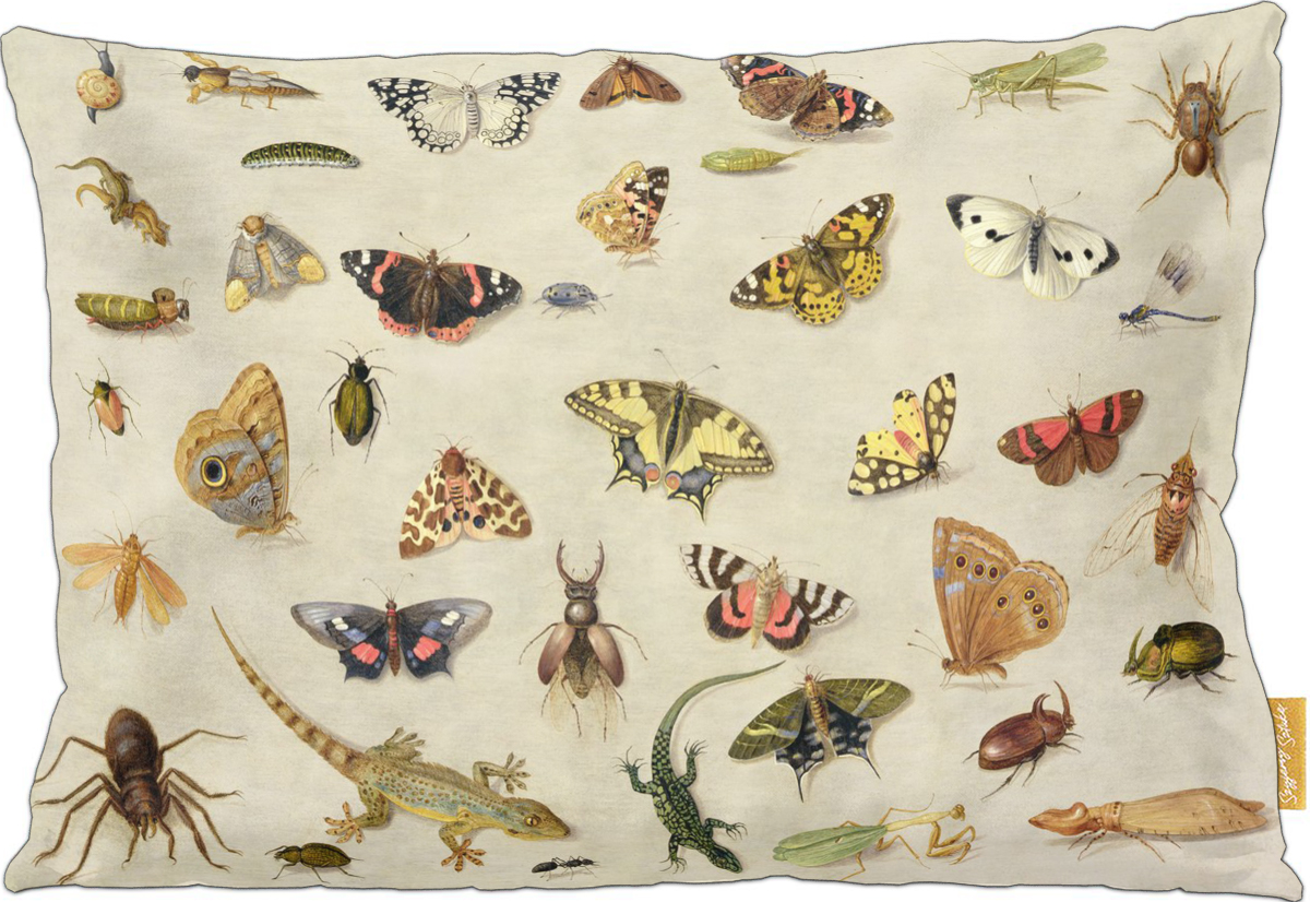 Poduszka dekoracyjna na prezent z obrazem Studium owadów Jan van Kessel (starszy) Szyjemy Sztukę