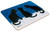 Czarne koty na śniegu