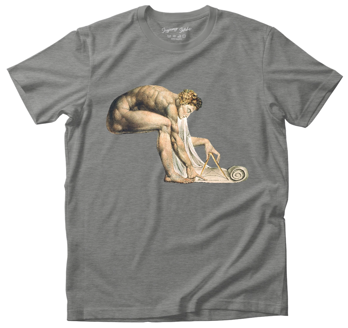 Koszulka Newton William Blake– koszulka z nadrukiem obrazu, t-shirt ze sztuką