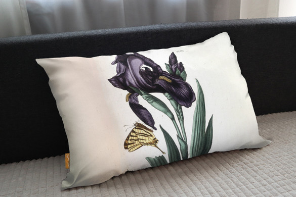 Poduszka Irys szerokolistny Maria Sibylla Merian