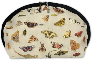 Kosmetyczka Studium owadów Jan van Kessel (starszy)