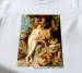 Koszulka z nadrukiem Zjednoczenie wody i ziemi Peter Paul Rubens