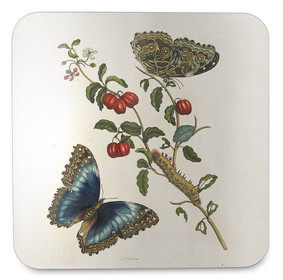 Podkładka pod kubek Great Blue Butterflies and Red Fruits Maria Sibylla Merian