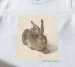 Koszulka z nadrukiem Młody zając Albrecht Dürer