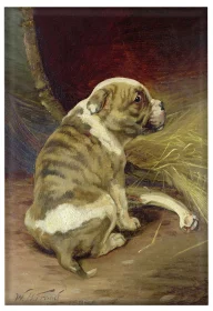 Magnes Daj psu kość William Henry Hamilton Trood