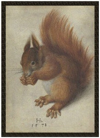 Naszywka Czerwona wiewiórka Hans Hoffmann