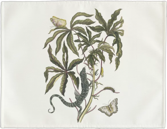 Podkładka na stół Cassave Maria Sibylla Merian