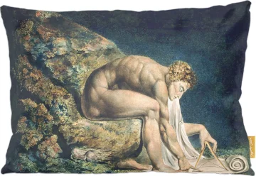 Poduszka Newton William Blake