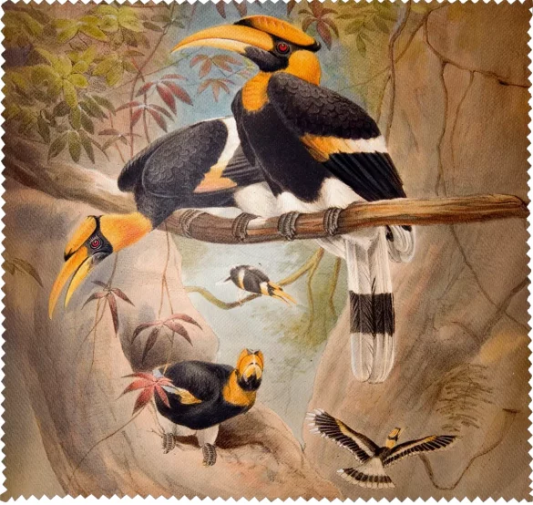 Ściereczka do okularów Concave casque Hornbill Joseph Wolf