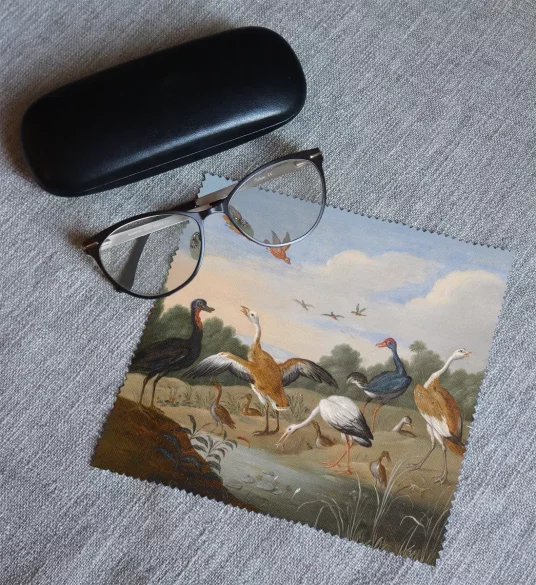 Ściereczka do okularów Czaple i kaczki na rzece Jan van Kessel (starszy) 