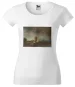 Bluzka damska Kamienny most Rembrandt