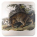 Podkładka pod kubek Common American Wildcat James Audubon