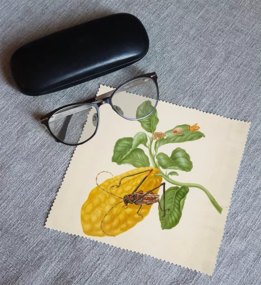 Ściereczka do okularów Cytryna z gąsienicą małpy i chrząszczem harlekin Maria Sibylla Merian