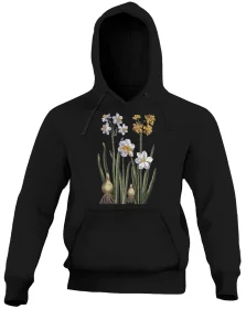 Bluza Narcyz Maria Sibylla Merian