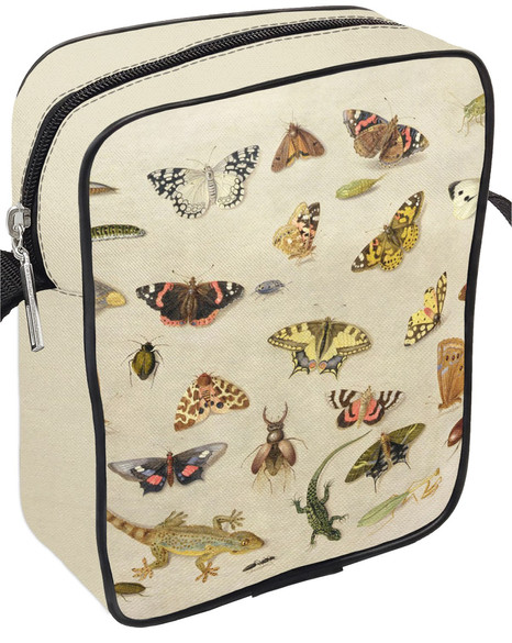 Torba listonoszka Studium owadów Jan van Kessel (starszy) 