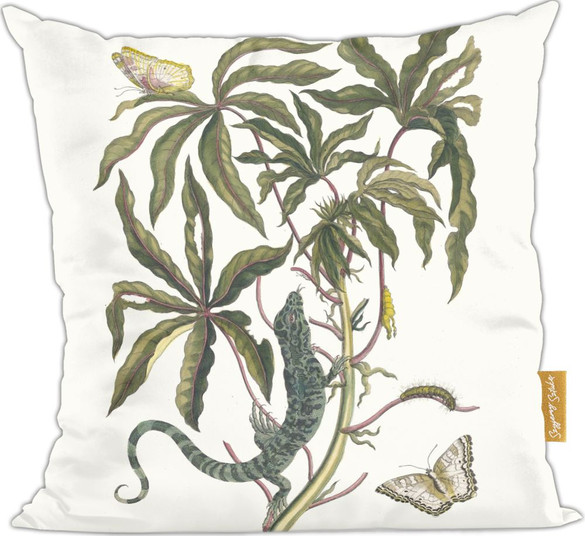 Poduszka Cassave Maria Sibylla Merian