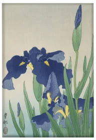Magnes Irys Ohara Koson