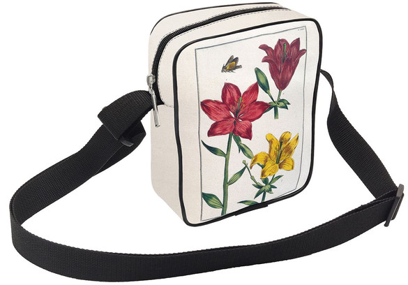 Listonoszka Lilia czerwona Maria Sibylla Merian