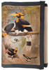 Concave casque Hornbill