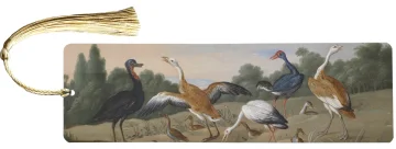 Zakładka do książki Czaple i kaczki na rzece Jan van Kessel (starszy)