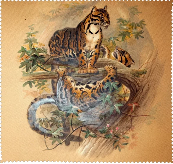 Ściereczka do okularów The Clouded Tiger Joseph Wolf