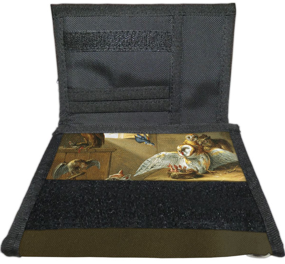 Portfel Rodzina sów, innych ptaków i kota Jan van Kessel (starszy) 